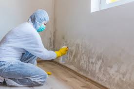 Best Asbestos and Lead Testing During Mold Inspection  in Junction City, KS